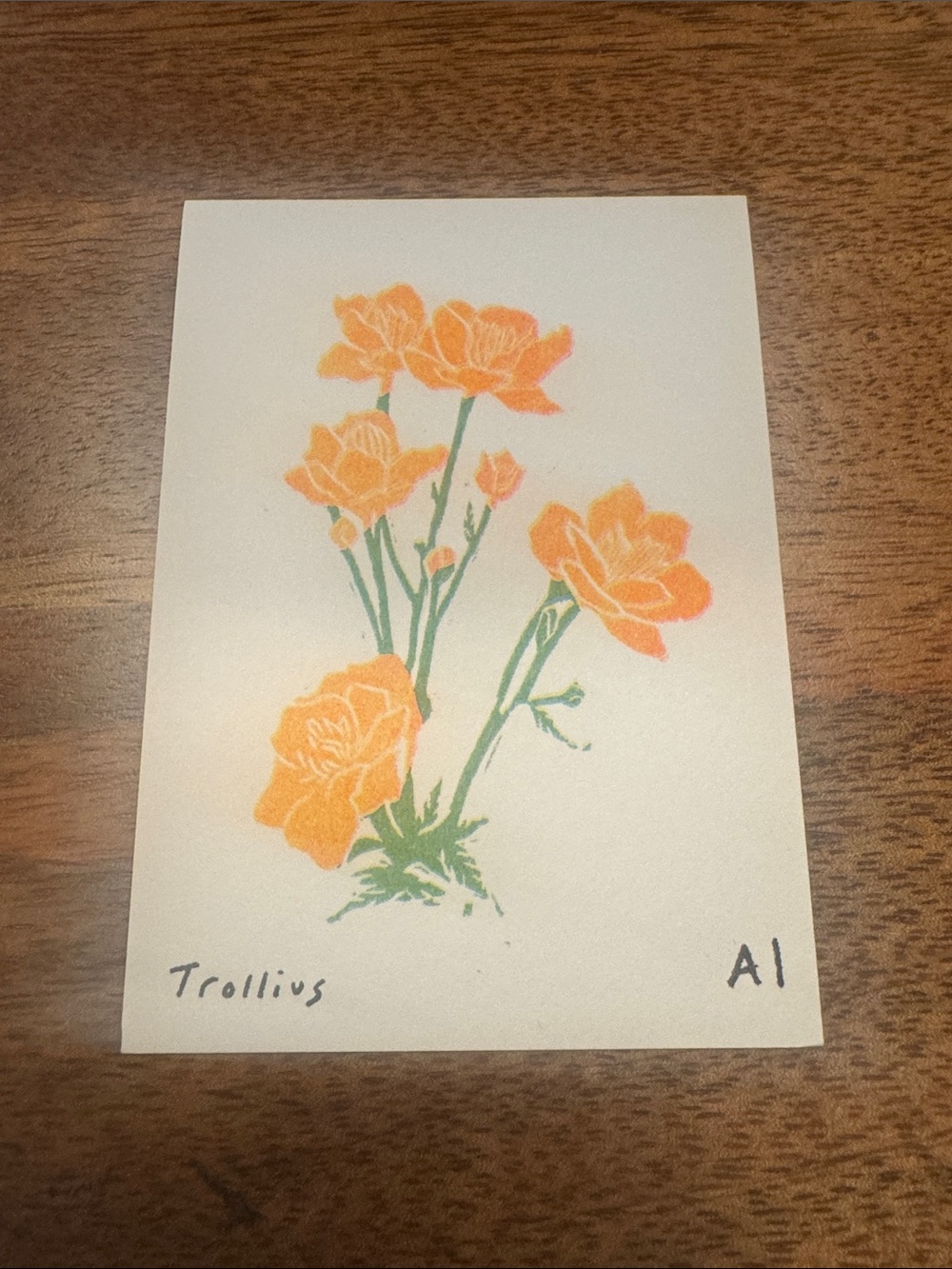 Inciardi - Trolius - Mini Print